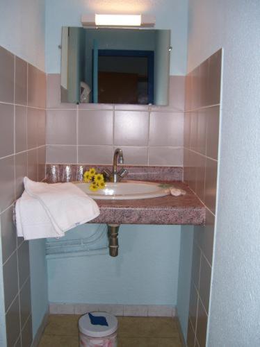 Citotel Hotel Le Commerce Sévérac-le-Château Oda fotoğraf